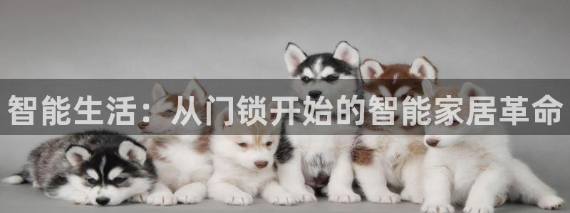 金年会退款：智能生活：从门锁开始的智能家居革命