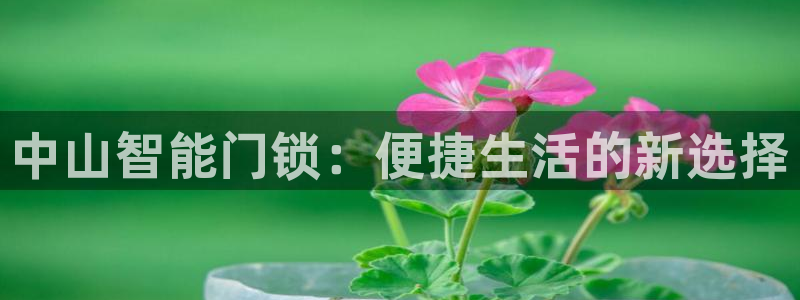 金年会娱乐：中山智能门锁：便捷生活的新选择