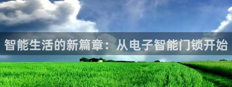 金年会体育在线登录：智能生活的新篇章：从电子智能门锁开始