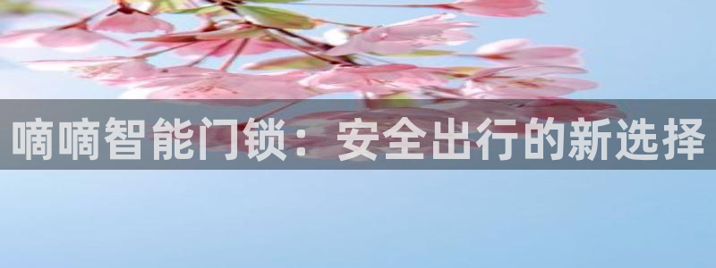 金立年会