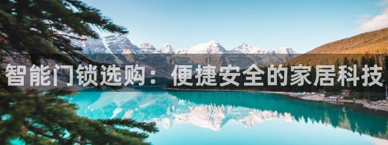 金年会体育平台入口