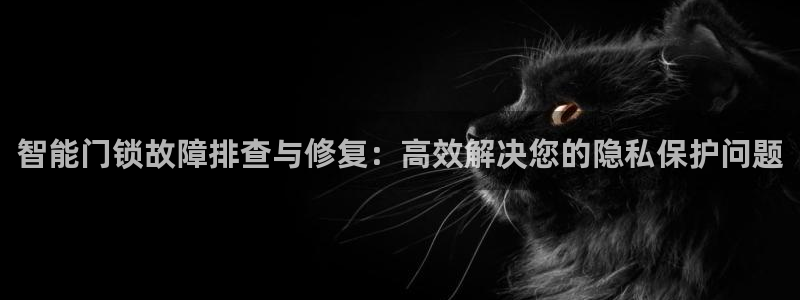 金雅陶瓷年会现场：智能门锁故障排查与修复：高效解决您的隐私保