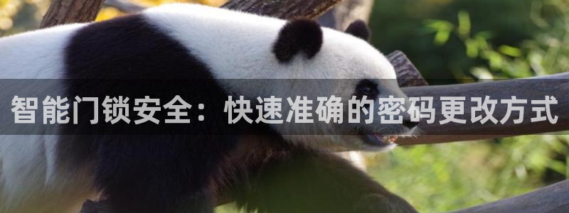 金年会今年会：智能门锁安全：快速准确的密码更改方式