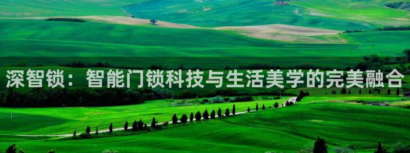 金年会开户：深智锁：智能门锁科技与生活美学的完美融合