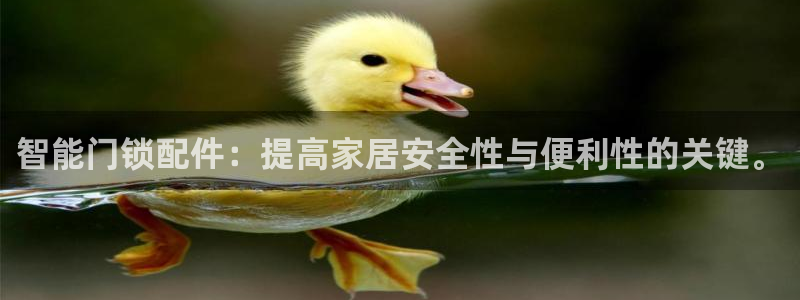 金年会官网：智能门锁配件：提高家居安全性与便利性的关键。