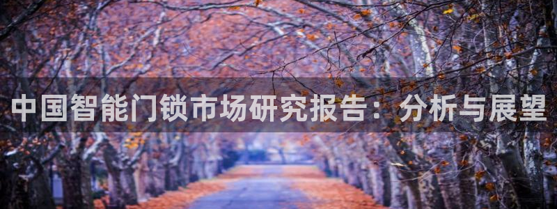 金年会金字招牌诚信至上：中国智能门锁市场研究报告：分析与展望