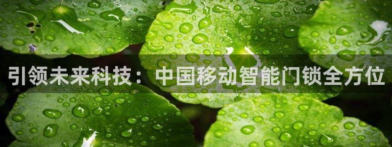 jinnian金年会:引领未来科技:中国移动智能门锁全方位