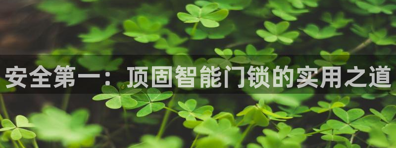 金年会官方网站：安全第一：顶固智能门锁的实用之道