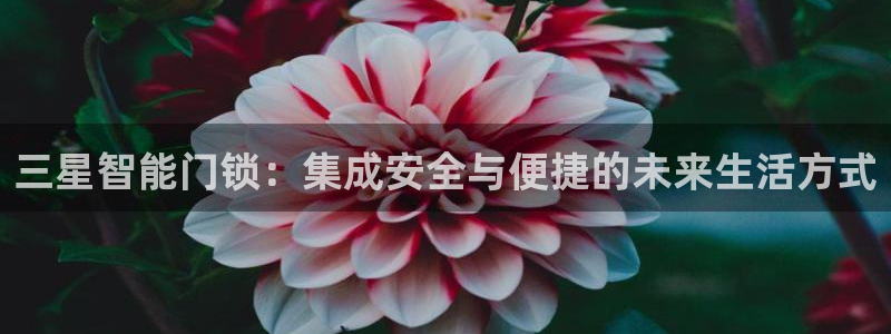 金吉年会：三星智能门锁：集成安全与便捷的未来生活方式