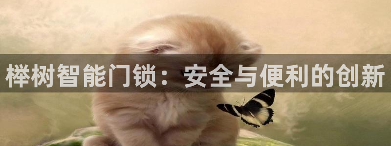 金年会娱乐提现：榉树智能门锁：安全与便利的创新