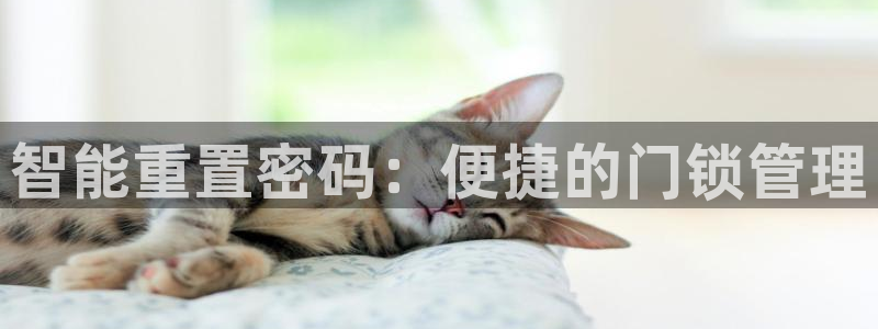 金年会不给提现：智能重置密码：便捷的门锁管理