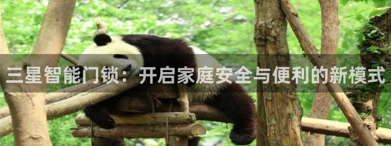金年会登录平台入口：三星智能门锁：开启家庭安全与便利的新模式