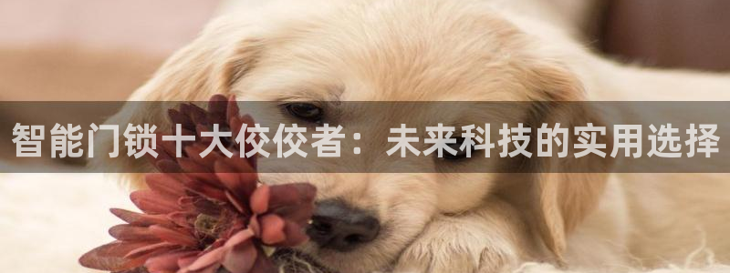金齿科年会：智能门锁十大佼佼者：未来科技的实用选择
