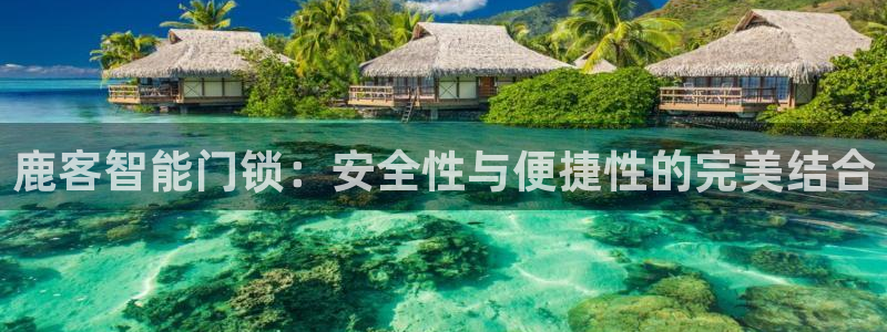金年会信誉：鹿客智能门锁：安全性与便捷性的完美结合