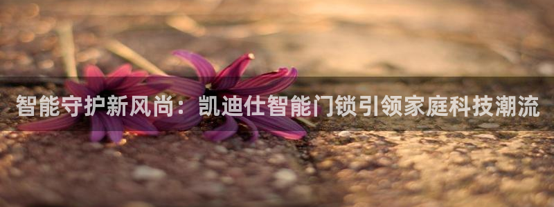 金哥年会:智能守护新风尚:凯迪仕智能门锁引领家庭科技潮流