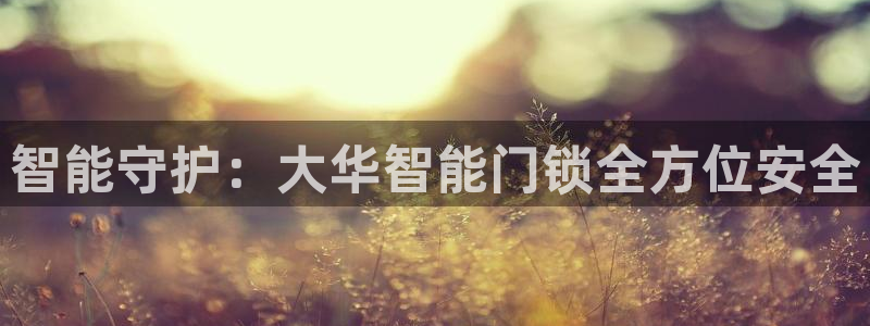 金年会娱乐提现：智能守护：大华智能门锁全方位安全