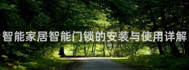 金帆年会2019：智能家居智能门锁的安装与使用详解
