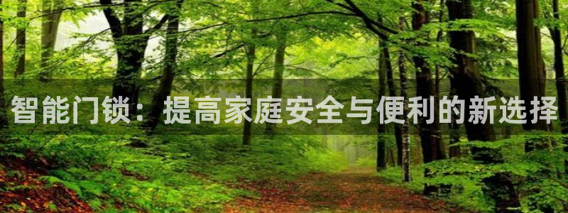 金年会取款：智能门锁：提高家庭安全与便利的新选择