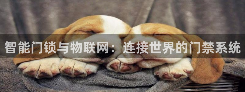 金年会金字招牌诚信：智能门锁与物联网：连接世界的门禁系统