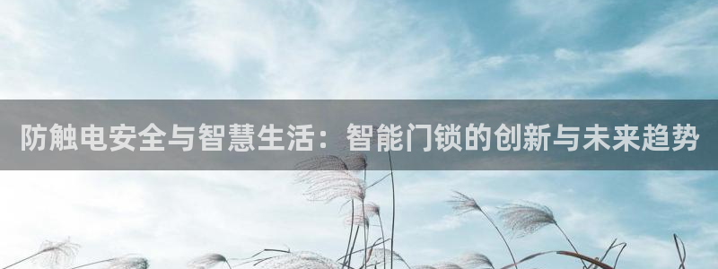 金年会体育苹果下载：防触电安全与智慧生活：智能门锁的创新与未