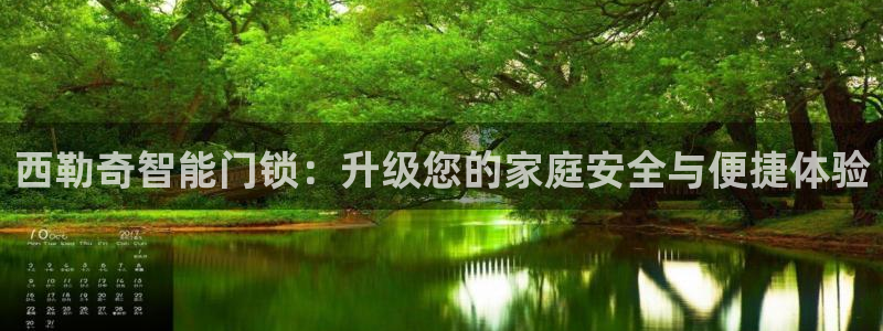 金年会提款：西勒奇智能门锁：升级您的家庭安全与便捷体验
