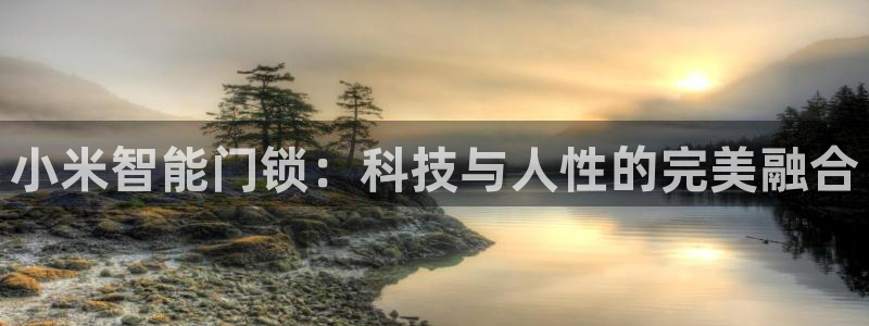 金年会金字招牌在线入口:小米智能门锁:科技与人性的完美融合