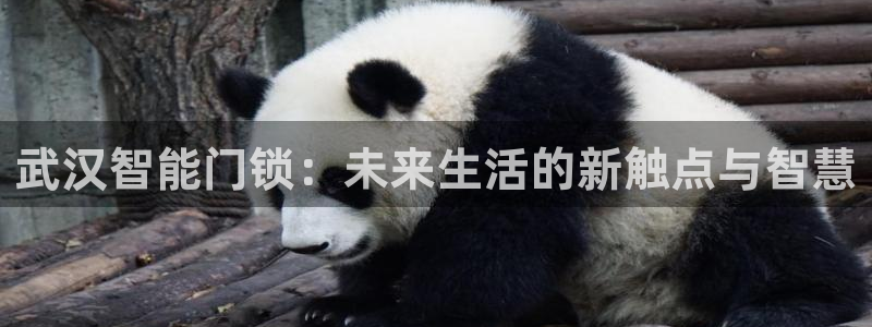 金靖年会：武汉智能门锁：未来生活的新触点与智慧