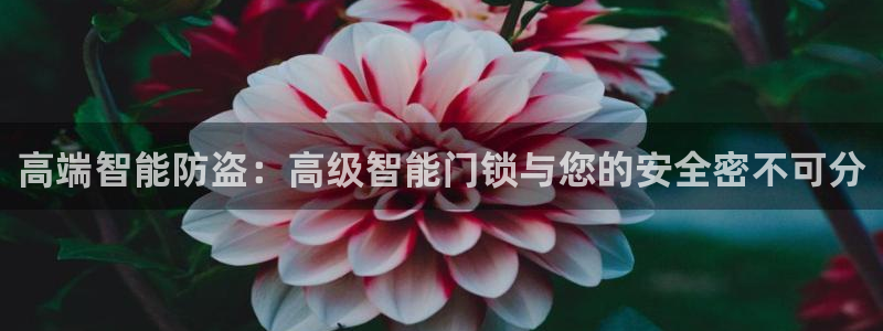 金年会全站：高端智能防盗：高级智能门锁与您的安全密不可分