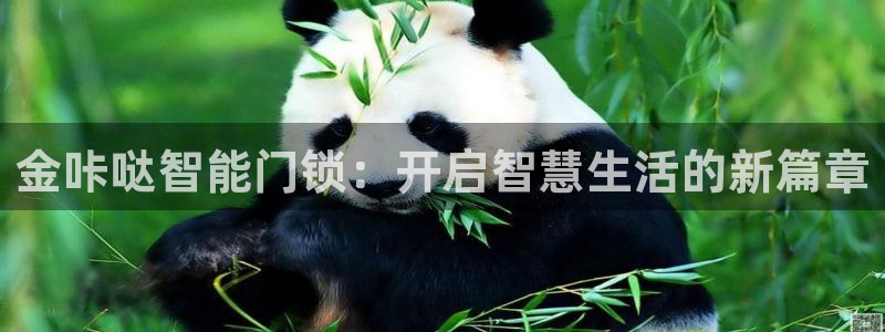 金年会官方网站登录：金咔哒智能门锁：开启智慧生活的新篇章
