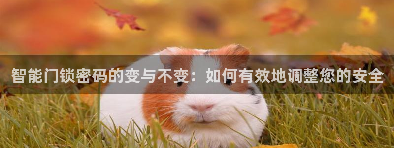 金年会入口网站:智能门锁密码的变与不变:如何有效地调整您的安