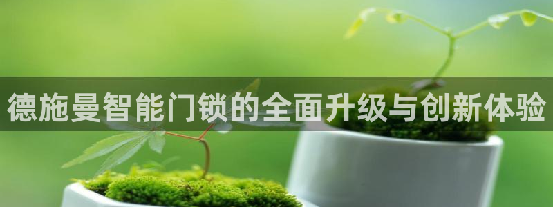 金年会娱乐：德施曼智能门锁的全面升级与创新体验