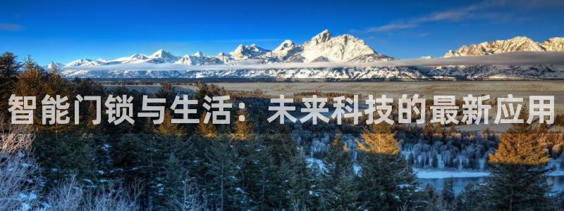 金年会金字招牌在线入口:智能门锁与生活:未来科技的最新应用