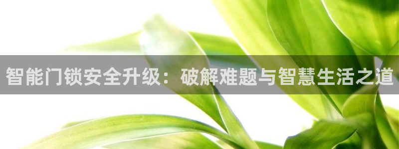 金年会注册官网：智能门锁安全升级：破解难题与智慧生活之道