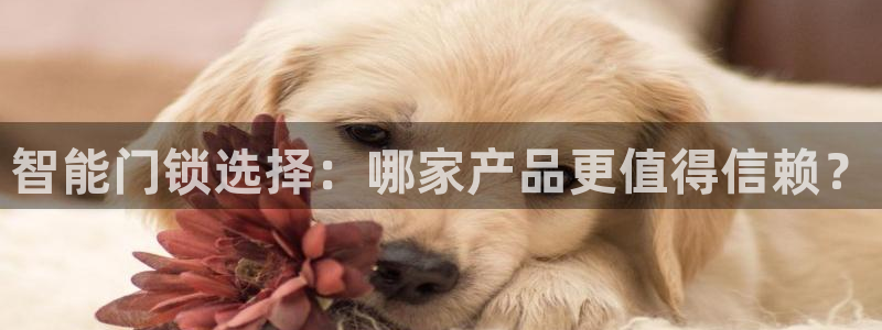 金年会赞助曼联:智能门锁选择:哪家产品更值得信赖?