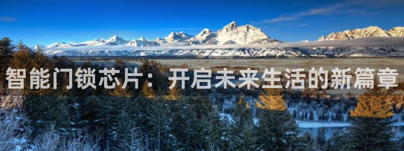金年会手机网页版登录：智能门锁芯片：开启未来生活的新篇章