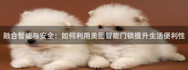 金年会原名：融合智能与安全：如何利用美团智能门锁提升生活便利