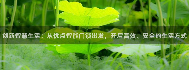 金年会电子游戏app：创新智慧生活：从优点智能门锁出发，开启