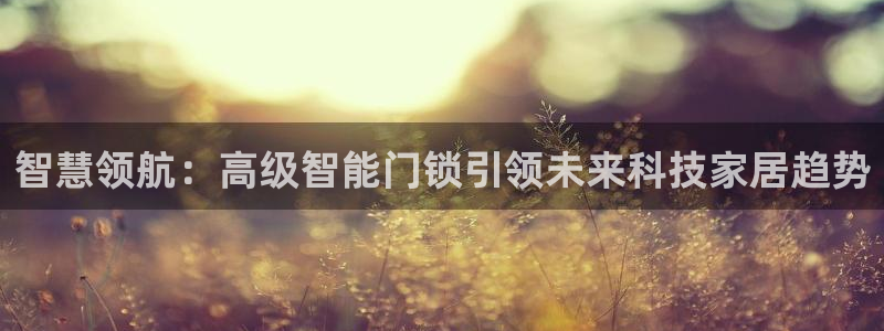 金进年会：智慧领航：高级智能门锁引领未来科技家居趋势