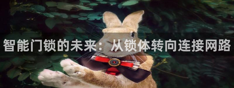 金年会ios下载：智能门锁的未来：从锁体转向连接网路