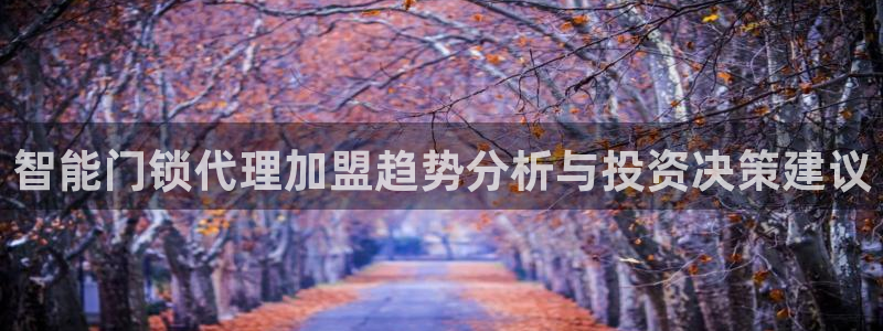 金年会网登录平台入口：智能门锁代理加盟趋势分析与投资决策建议