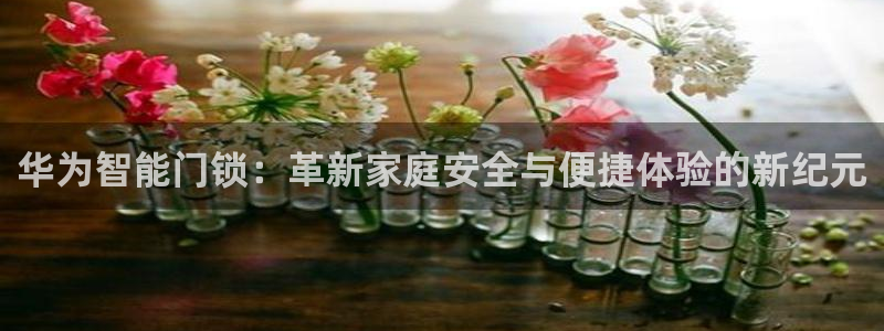 金年会官方：华为智能门锁：革新家庭安全与便捷体验的新纪元