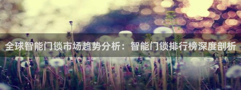 金年会菲律宾：全球智能门锁市场趋势分析：智能门锁排行榜深度剖