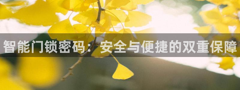 类似金年会：智能门锁密码：安全与便捷的双重保障