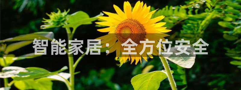 金年会能提款吗：智能家居：全方位安全