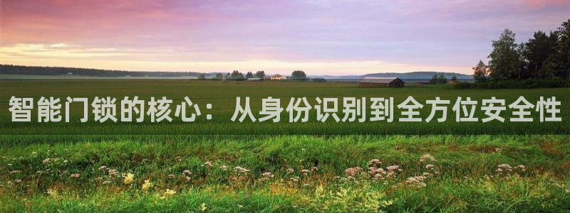 金年会平台登陆：智能门锁的核心：从身份识别到全方位安全性