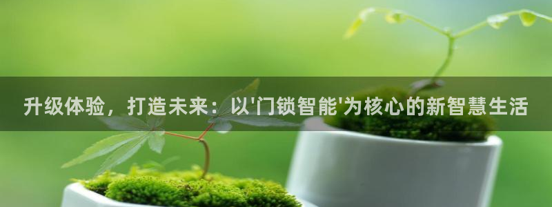 金年会手机app：升级体验，打造未来：以\'门锁智能\'为核