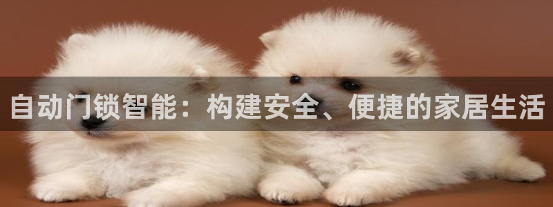 金年会最新官网：自动门锁智能：构建安全、便捷的家居生活