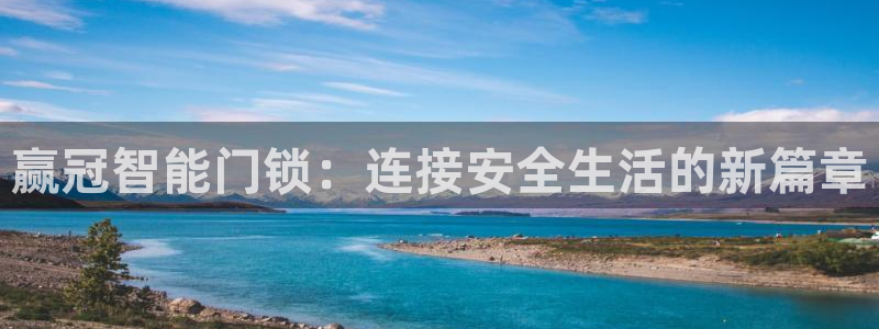金年会官网：赢冠智能门锁：连接安全生活的新篇章