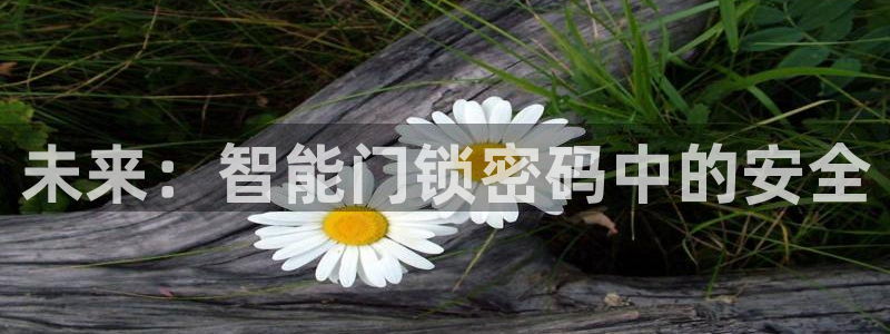 金年会这个平台：未来：智能门锁密码中的安全
