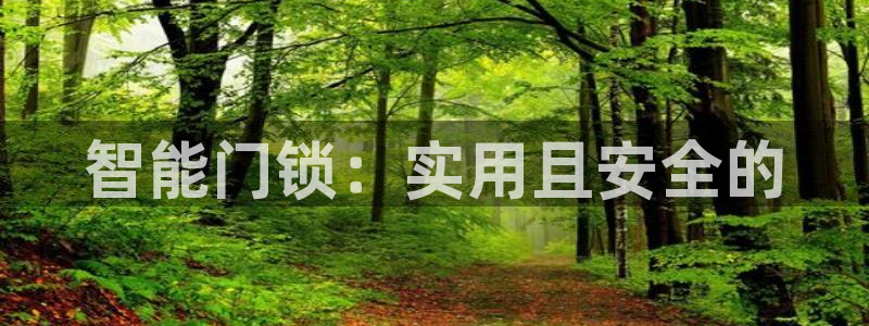 金年会娱乐app：智能门锁：实用且安全的